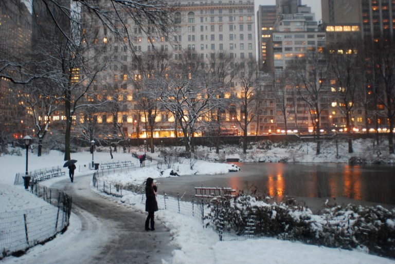 Snowy duck pond (link)