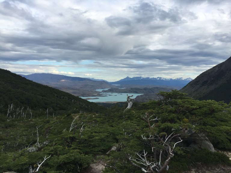 2016-01-15 19.14.27-2