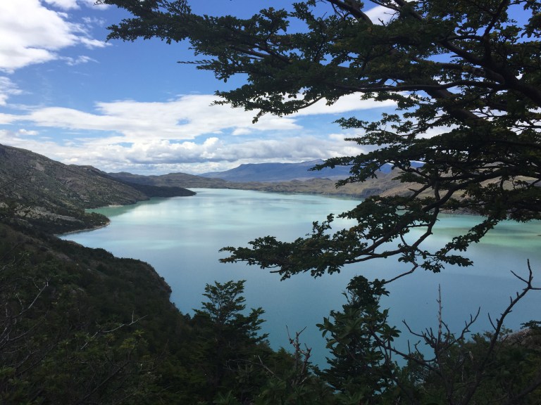 2016-01-16 12.22.10-1